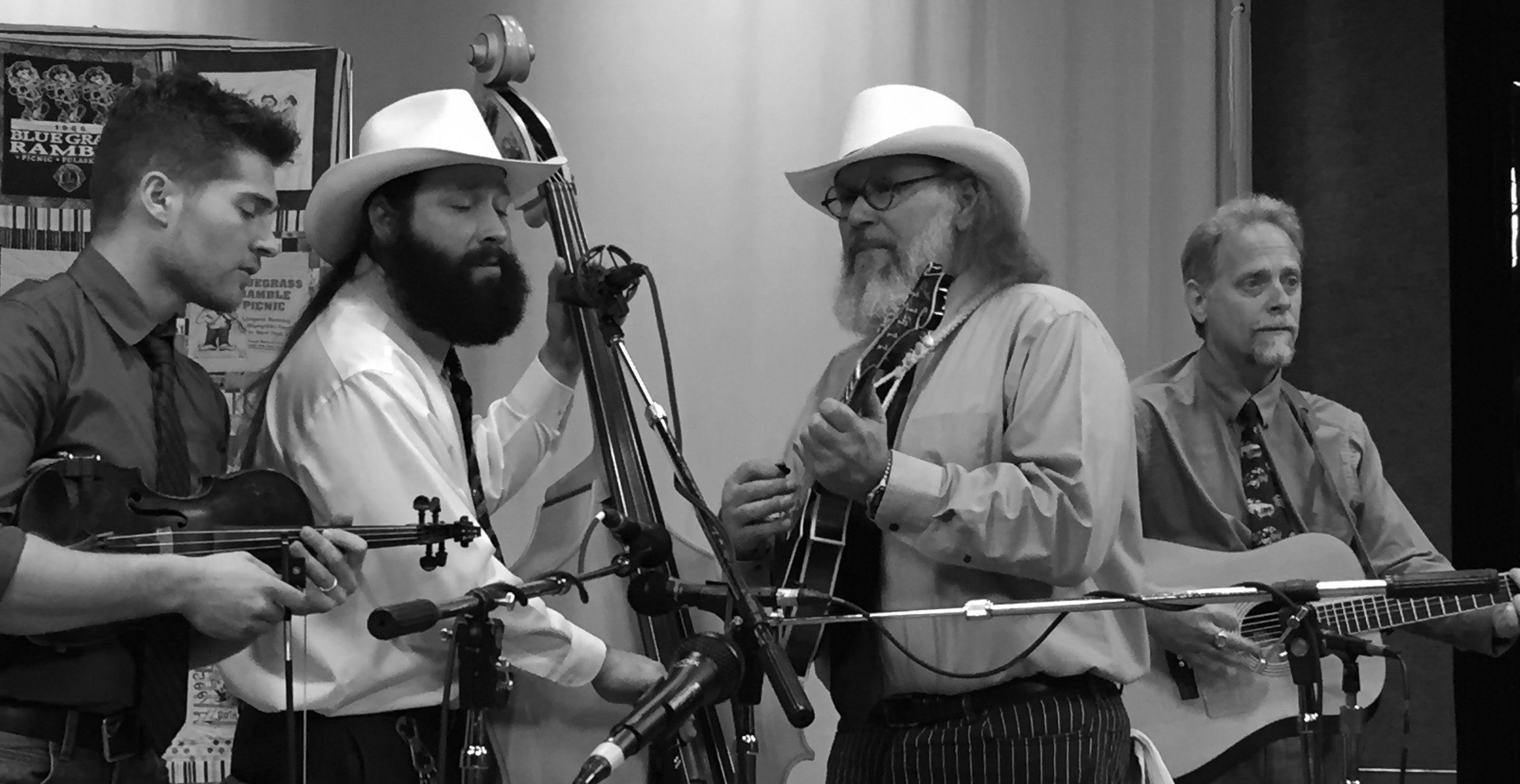 Delaney Brothers Bluegrass performing
